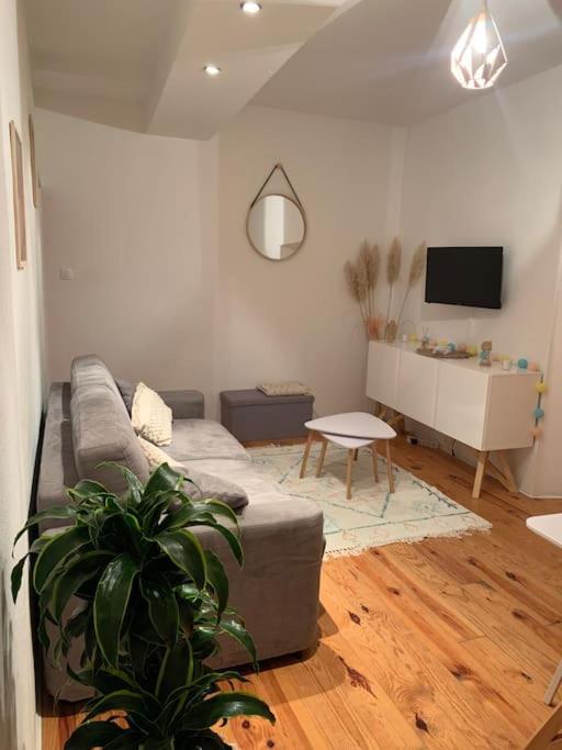 Le Petit Cocon Nimois Apartment Nîmes Exterior foto